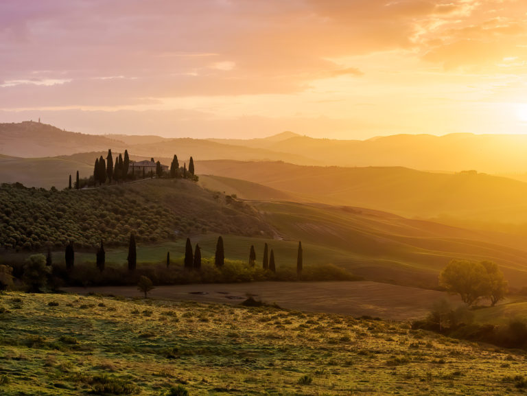 Landscape